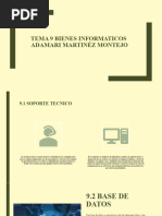 Tema 9 Bienes Informaticos