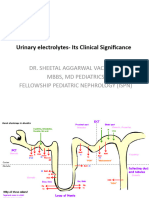 Urinary Electrolytes New