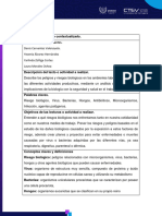 Trabajo Contextualizado Cipa Las Seguras