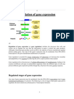 Regulation of Gene Expression