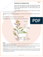 Morphology of Flowering Plants Class 11 Notes CBSE Biology Chapter 5 (PDF)