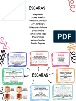 Escaras Mapa Conceptual