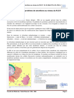 Synthese Des Proteines Au Niveau Du REG SAIDA Et SBA