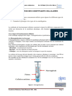 Séparation Des Constituants Cellulaires SAIDA Et SBA