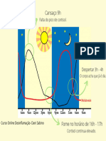 02 - Ciclo+Cortisol