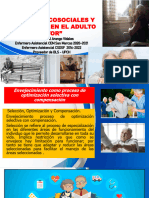 Sesion de Aprendizaje 5 Adulto Aspecto Psicosociales