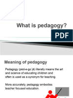 Pedagogy 1