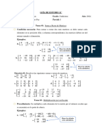 Guía de Estudio de Matemáticas 11°