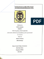 Nistha Thesis PDF