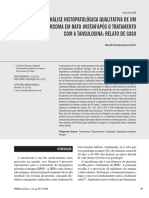 2019 - RESBCAL - Fibrossarcoma Tansulosina.