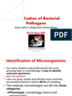 Identification of Bacterial Pathogens