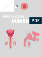 Reproduccion Humana