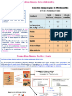 Cours BC FSDM P III