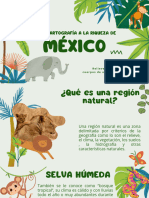 Cartografía de México