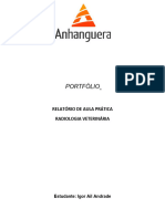 Portfólio Radiologia Veterinária