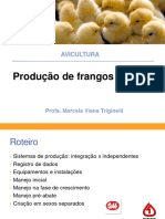 Frangos de Corte - Índices Zootécnicos e Instalações