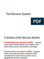 Nervous System - Neurophysiology (1) (1) - Tagged