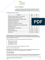 3 - Formulación de Un Shampoo V1