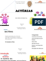 Trabalho Bacterias