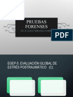 Pruebas Forenses