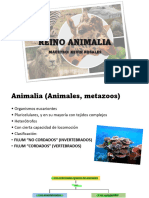 Reino Animal