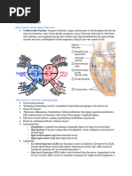 Patho Exam 3