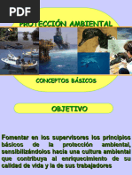 Conceptos Basicos Sobre Proteccion Ambiental