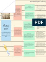 MAPA CONCEPTUAL Influenza Aviar