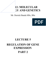 Lecture-5-Regulation of Gene Expression 2