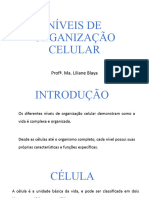 Citologia - Niveis de Organização Celular