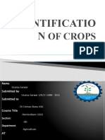 Identification of Crops