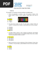 Pruebas Tipo Icfes