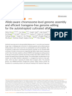 Allele-Aware Chromosome-Level Genome Assembly and Ef Ficient Transgene-Free Genome Editing For The Autotetraploid Cultivated Alfalfa