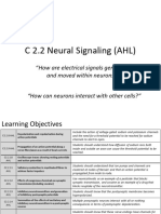 C 2.2 HL Neural Signaling