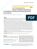 Devel Strong Intronic Promter in RH Yeast SP