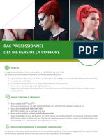 Bac Professionnel Des Metiers de La Coiffure: Objectif