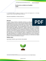 Rendimiento Del Cultivo de Arroz y Su Efecto Con El Quelato de Cobre y Agua Ozonizada