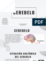 Cerebelo