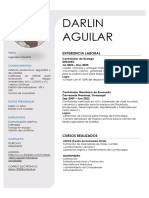 Curriculum Vitae Darlin Aguilar-1