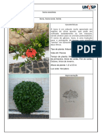 Catalogo de Plantas