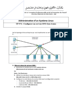 TP DNS1