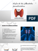 Fisiopatologia de Glandulas Paratiroideas