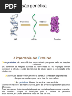 04 Sintese Proteica