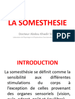 La Somesthesie130323