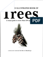 Illustrated Book of Trees Hungraphics