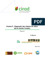 Rapport Diagnostic Lait en Guinee Conakry - DDia