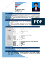 American Format CV 2