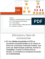 Unidad 6 Mitosis Meiosis