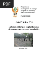 Guía Práctica #3 - Labores Culturales en Plantaciones de Camu Camu en Áreas Inundables