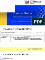 8 Life Sciences Grade 12 NEGATIVE FEEDBACK MECHANISM Notes